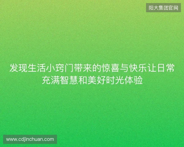 发现生活小窍门带来的惊喜与快乐让日常充满智慧和美好时光体验