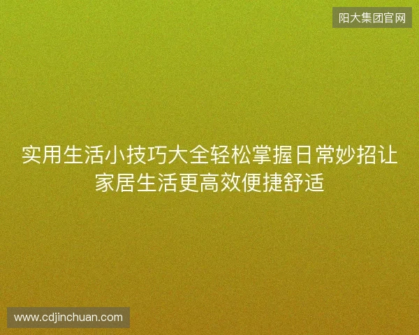 实用生活小技巧大全轻松掌握日常妙招让家居生活更高效便捷舒适 实用生活小技巧大全轻松掌握日常妙招让家居生活更高效便捷舒适